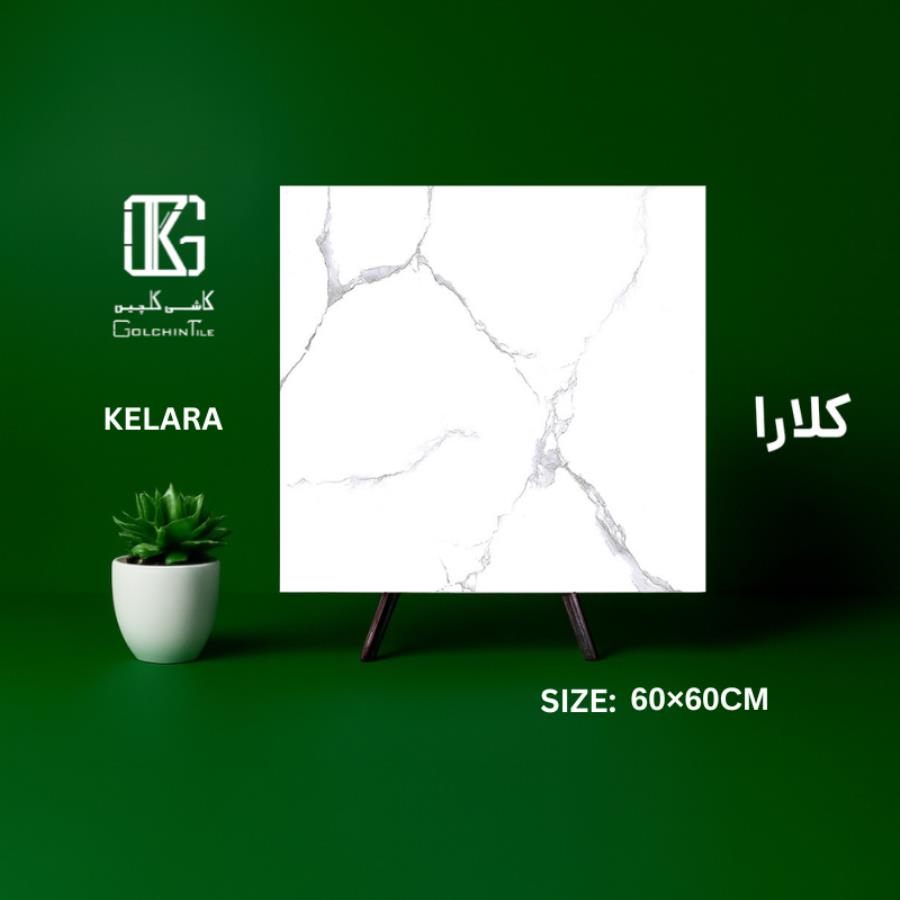کلارا 60×60